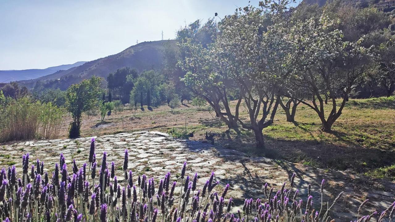 Cortijo Aguacha Villa Bayacas Exterior photo
